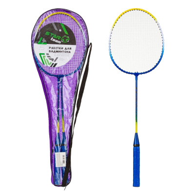 Набор для бадминтона Star Team IT107738 01